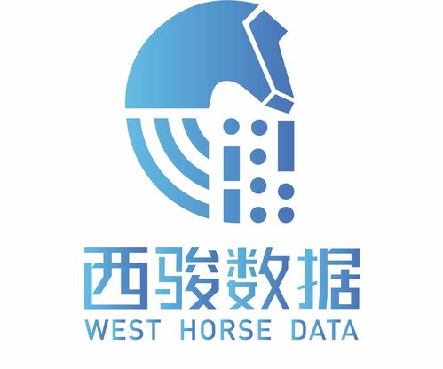 西駿數(shù)據(jù)項目信息平臺與軟件銷售策略分析